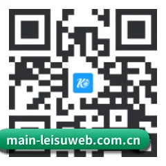 iOS 系统版 二维码(leisu)